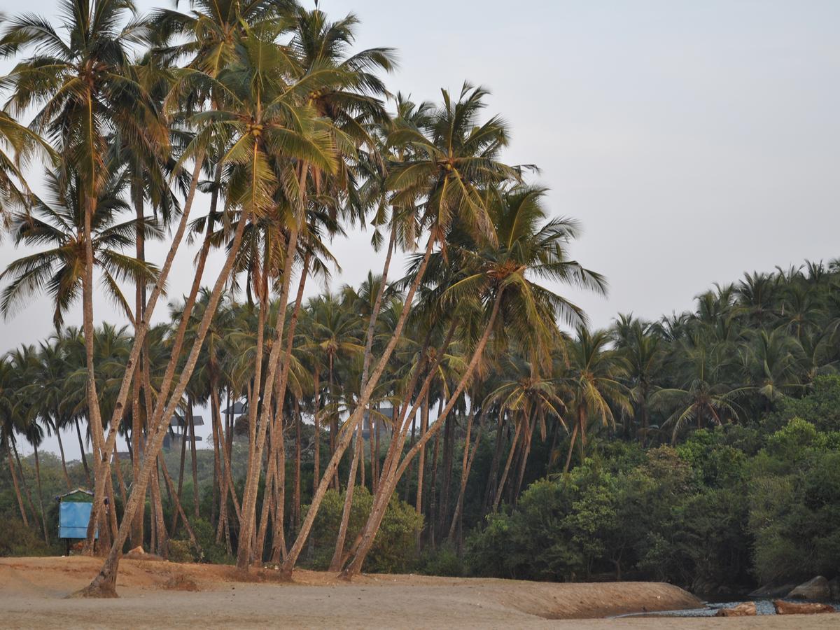 Hotel Tutti Garden Bungalows Mormugao Exteriér fotografie